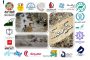 تلاش شبکه کمک  برای کمک به سیل‌زدگان سیستان و بلوچستان